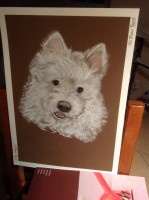 /album/galerie-photos/photo-2155-jpg/